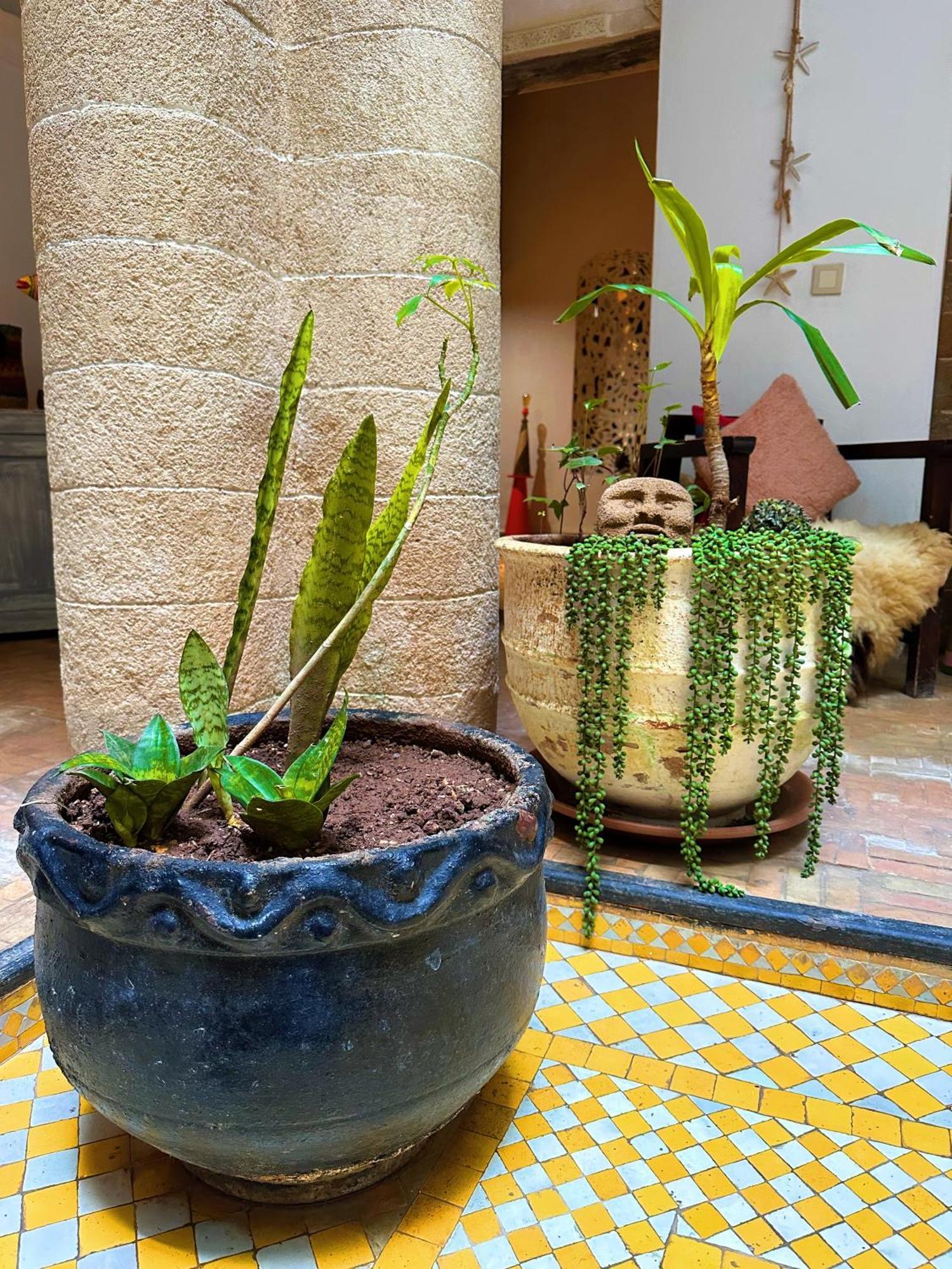 Les Terrasses D'Essaouira - Yoga Studio المظهر الخارجي الصورة
