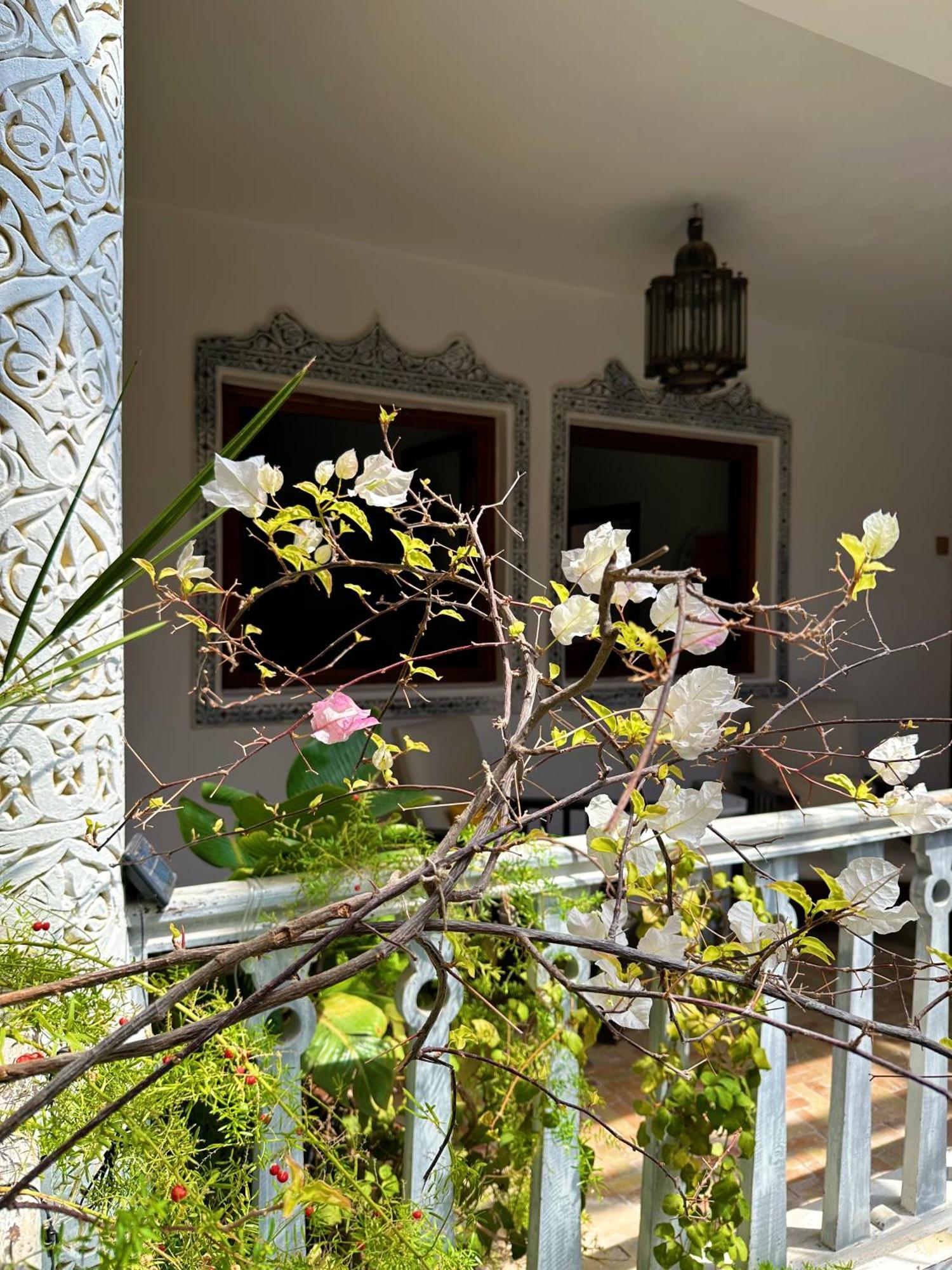 Les Terrasses D'Essaouira - Yoga Studio المظهر الخارجي الصورة