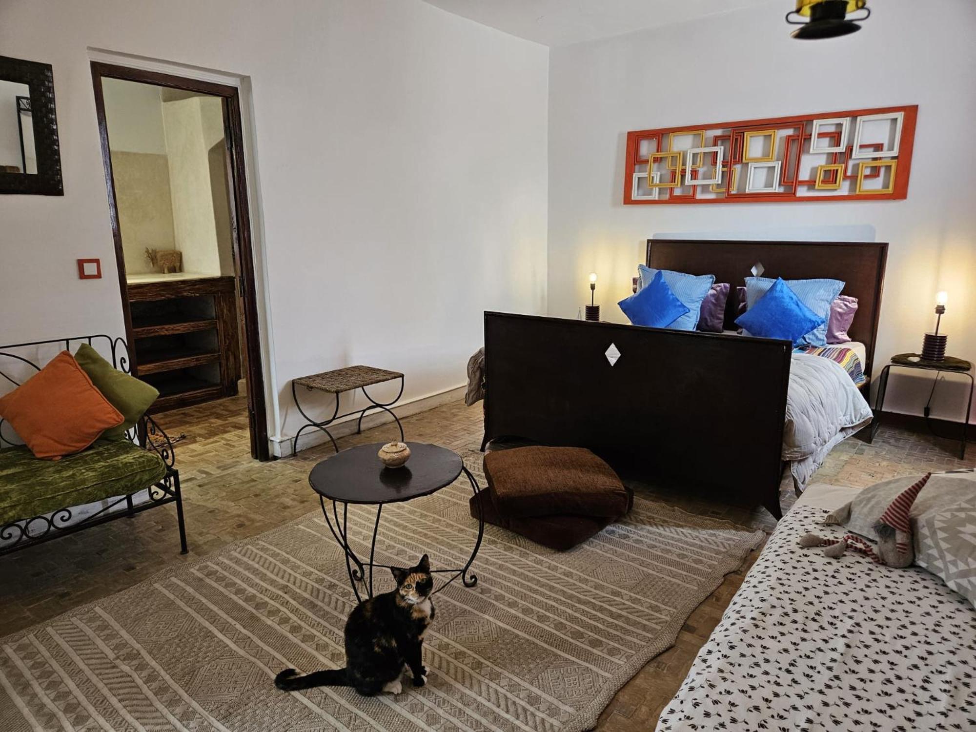 Les Terrasses D'Essaouira - Yoga Studio المظهر الخارجي الصورة